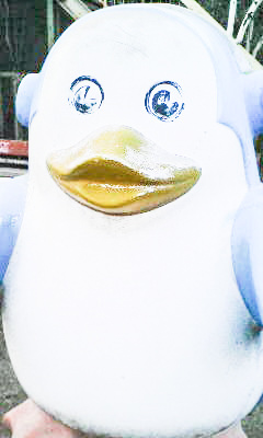 なんにでも醤油かける人